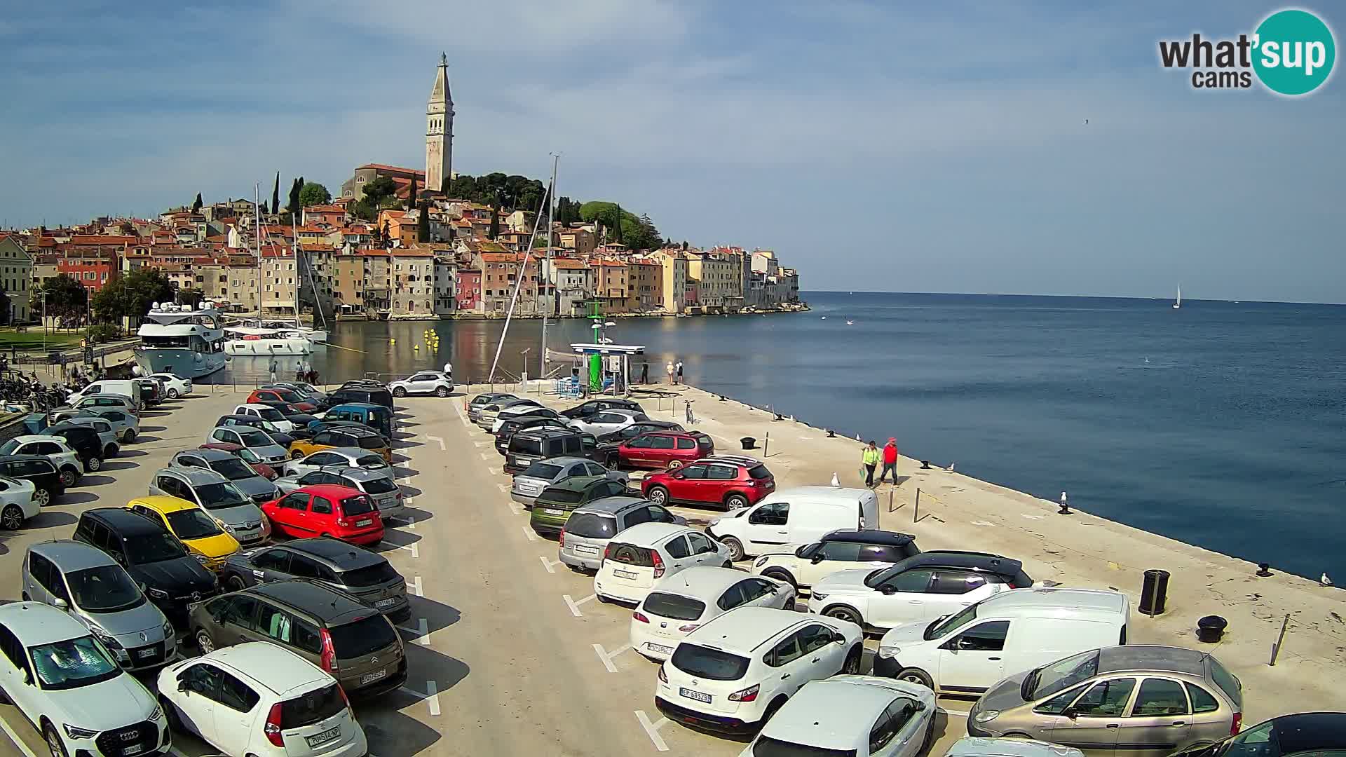 Webcam live Rovinj panorama de la ville | Istrie