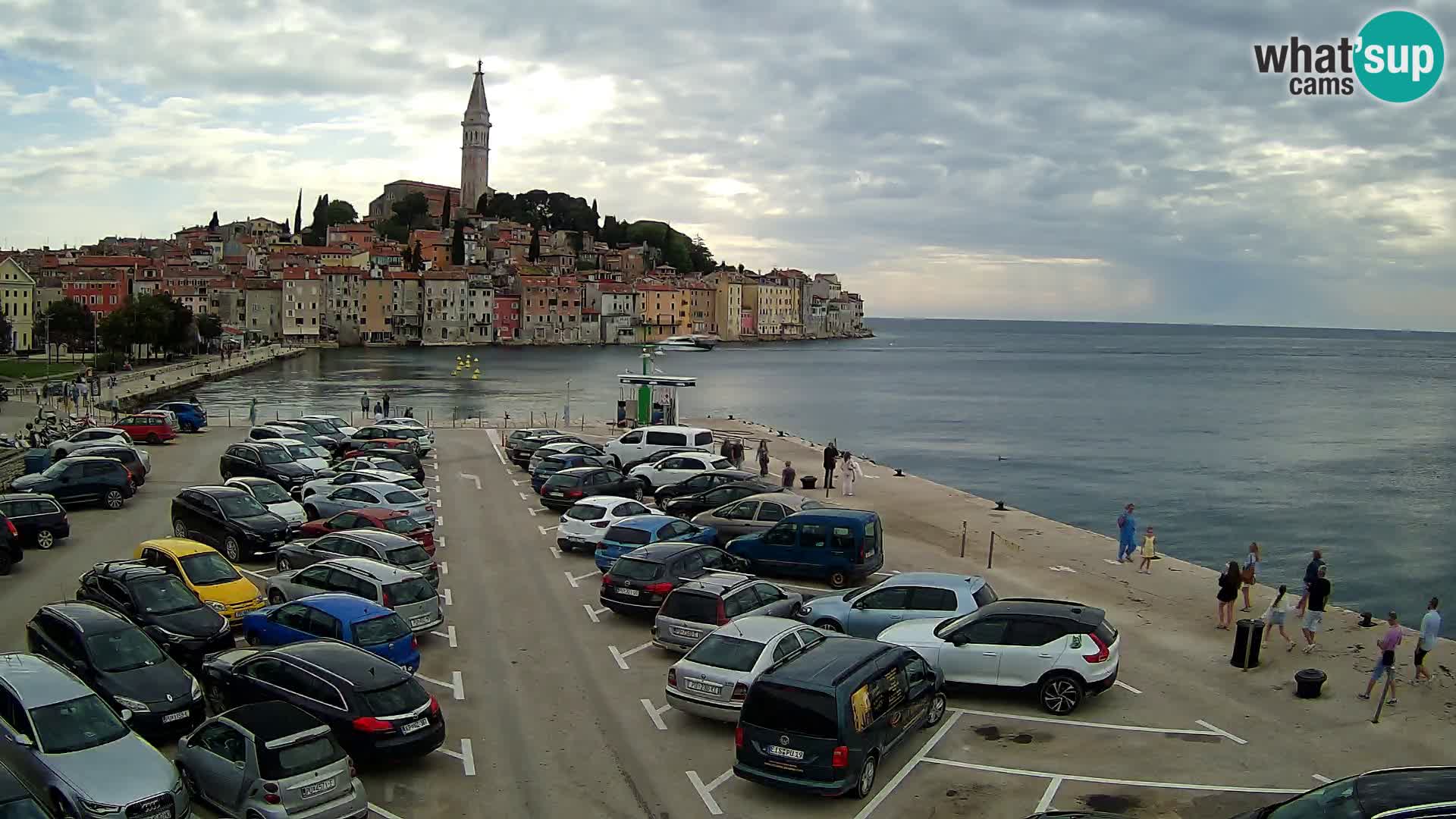 Webcam Rovigno / Rovinj – panorama della città