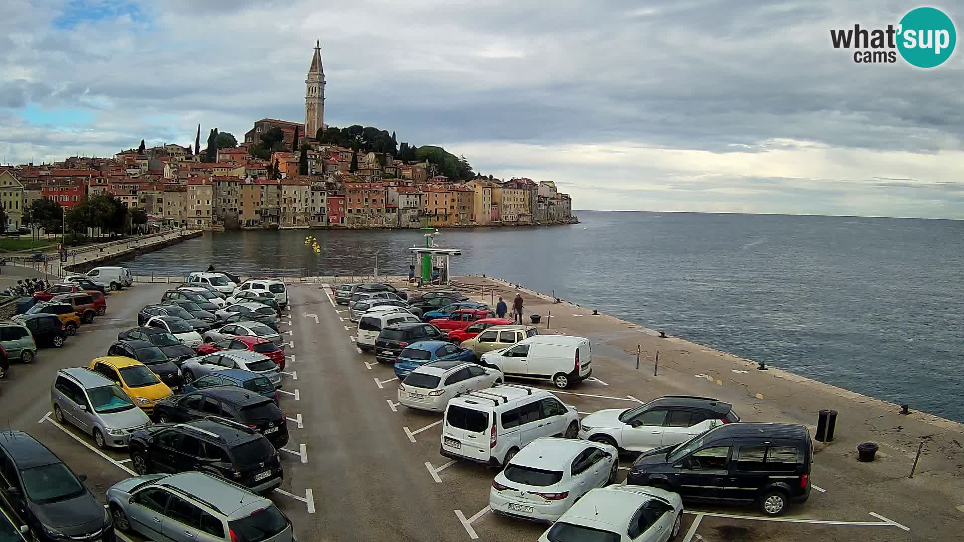 Webcam Rovigno / Rovinj – panorama della città