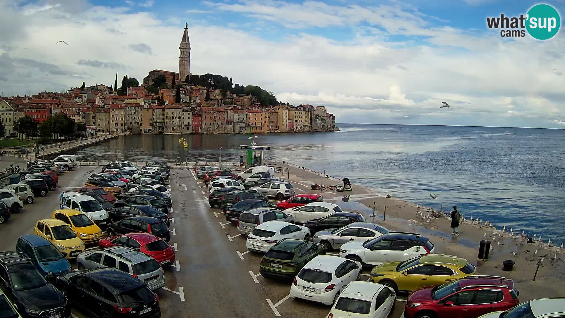 ROVINJ WEBCAM panorama of city – Istria – Croatia