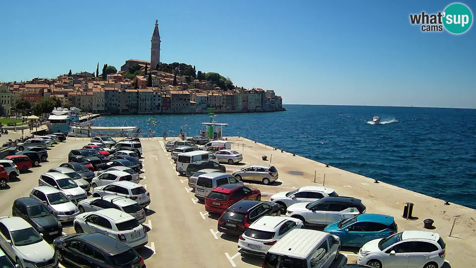 Webcam Rovinj panorama de la ciudad | Istria