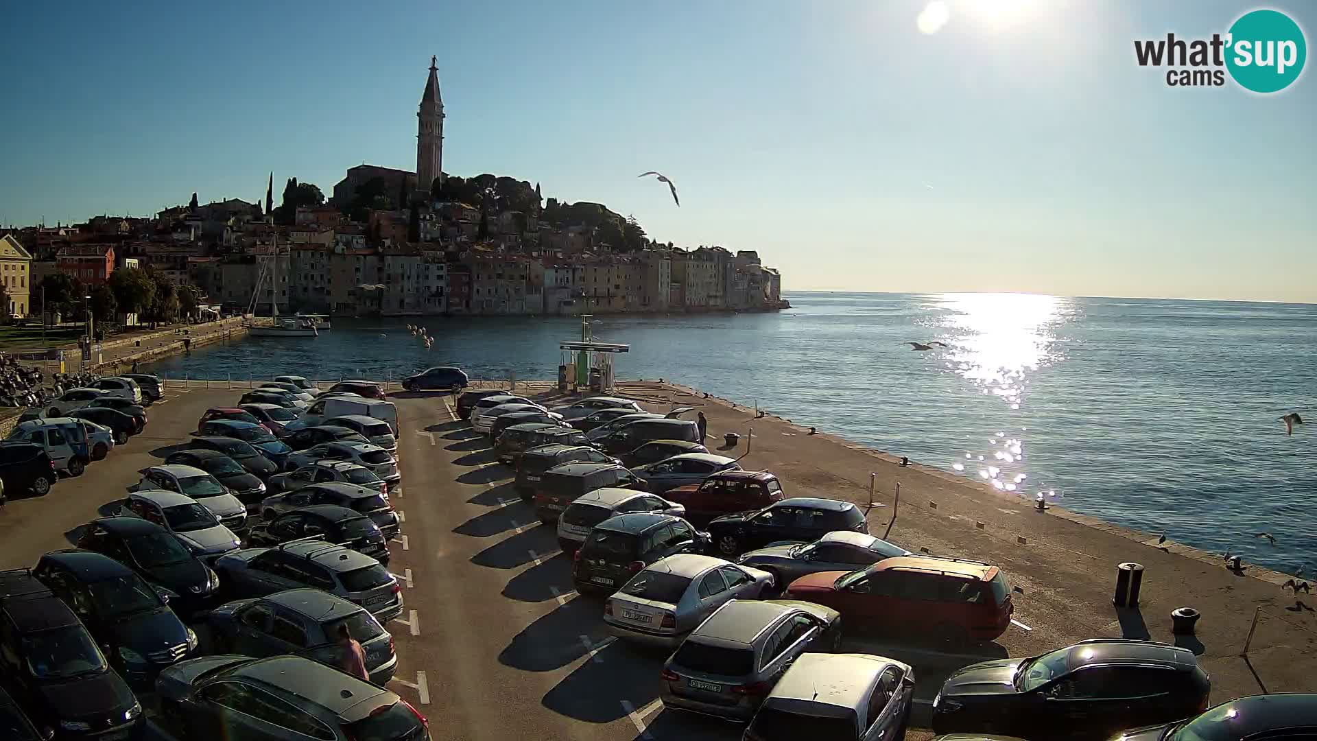 Webcam Rovinj – panorama of city – Istria – Croatia