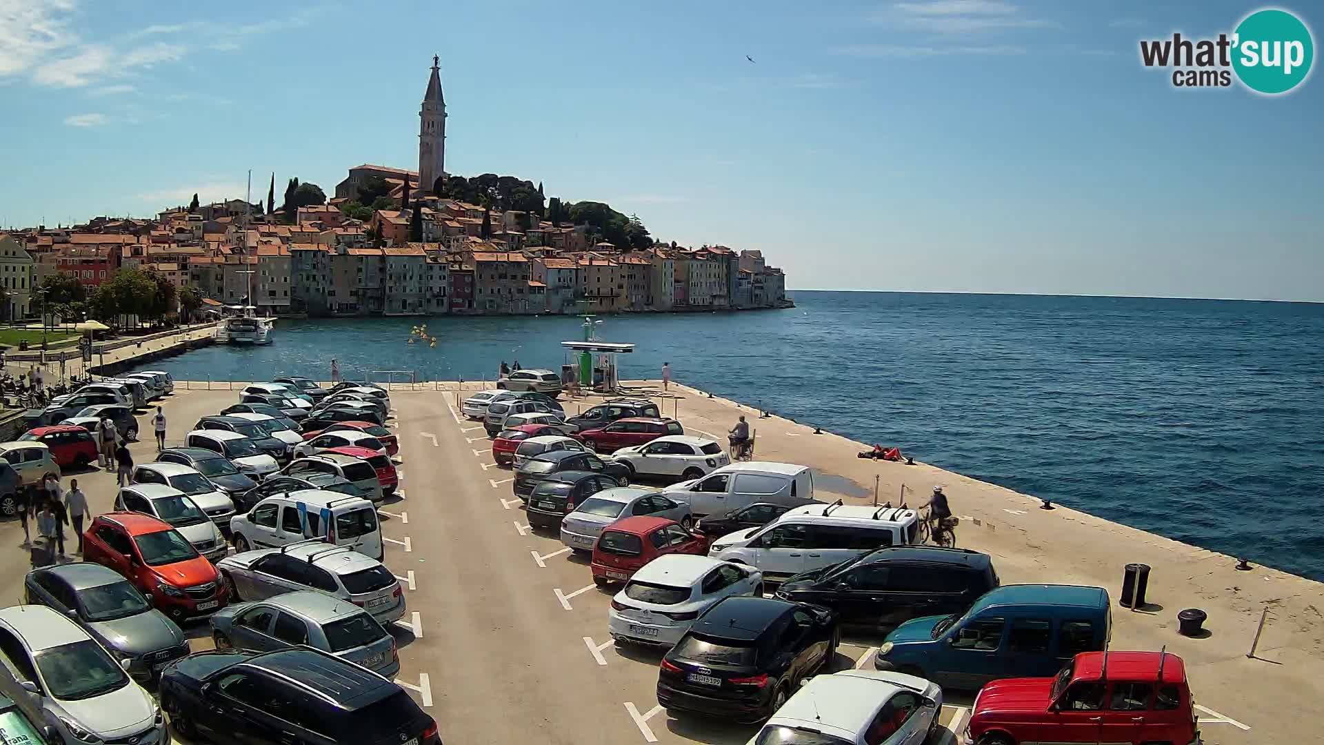 Webcam Rovigno / Rovinj – panorama della città