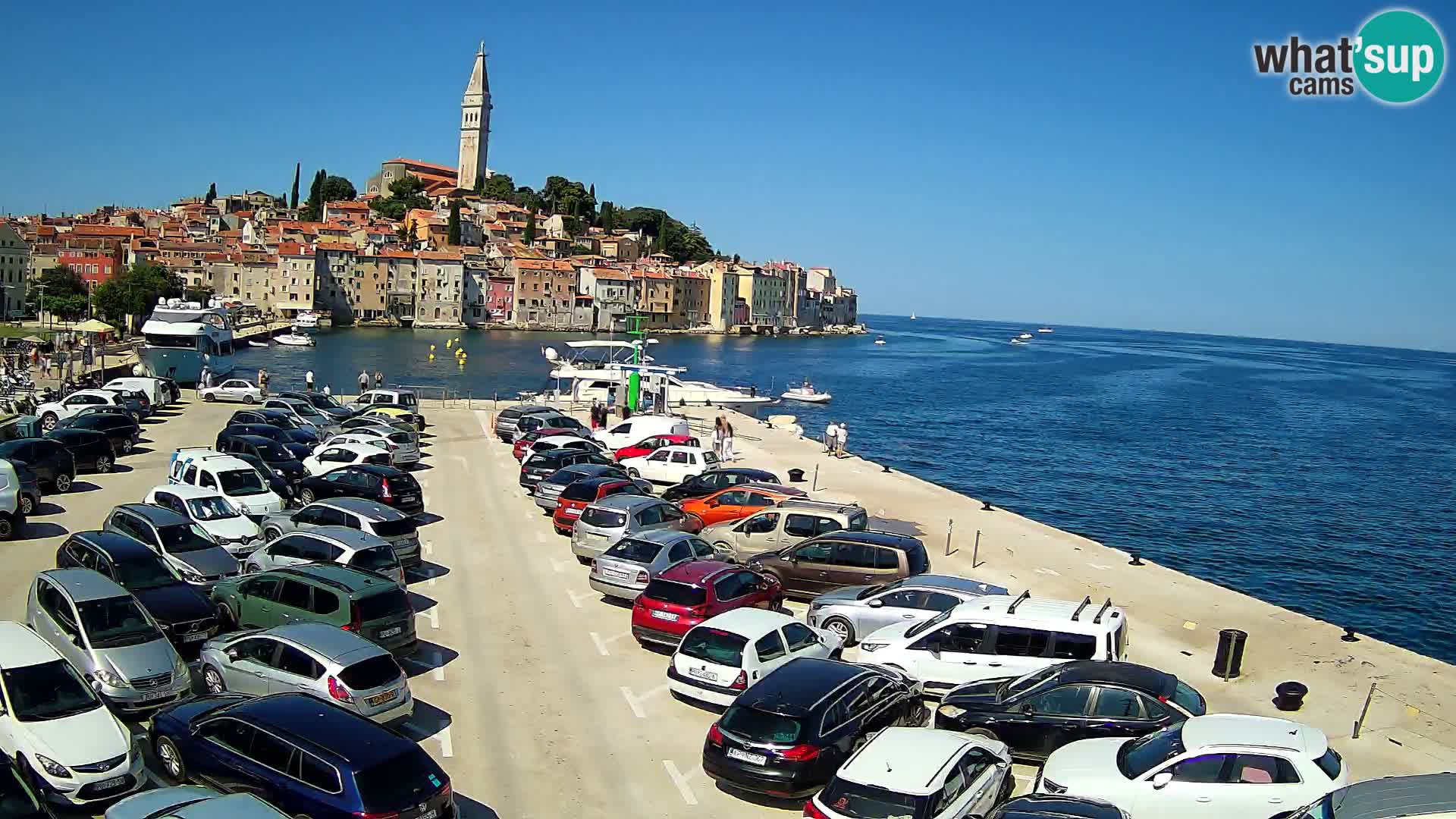 Webcam Rovinj panorama de la ciudad | Istria