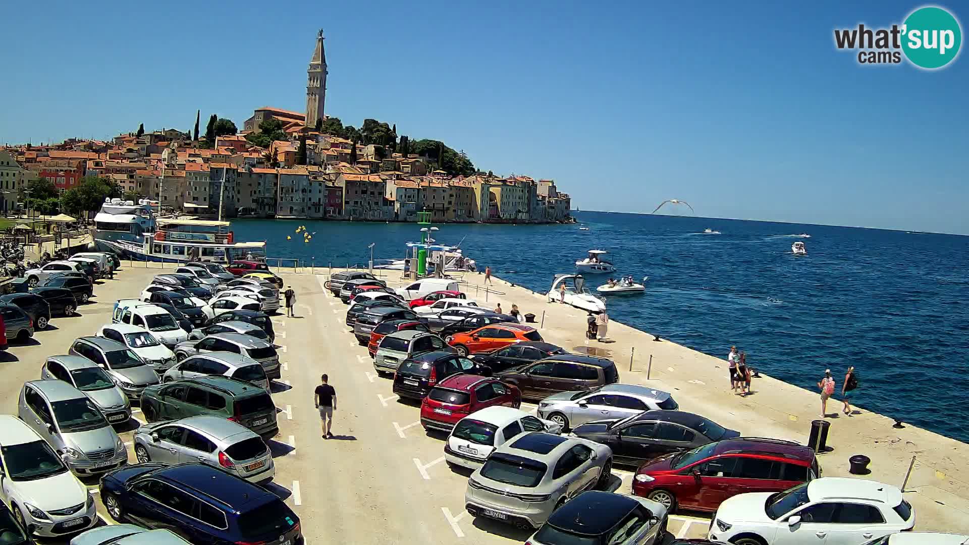 ROVINJ WEBCAM panorama of city – Istria – Croatia