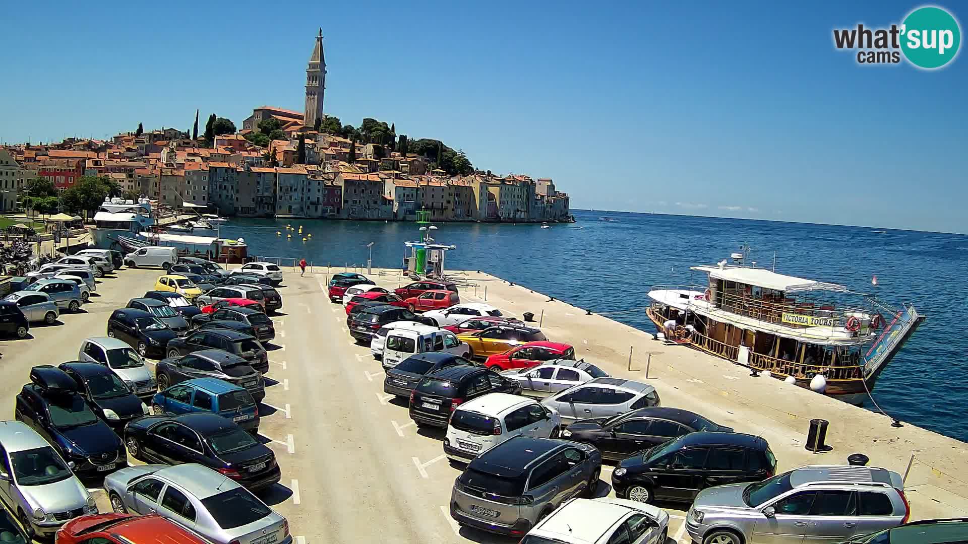 Webcam Rovinj panorama de la ciudad | Istria