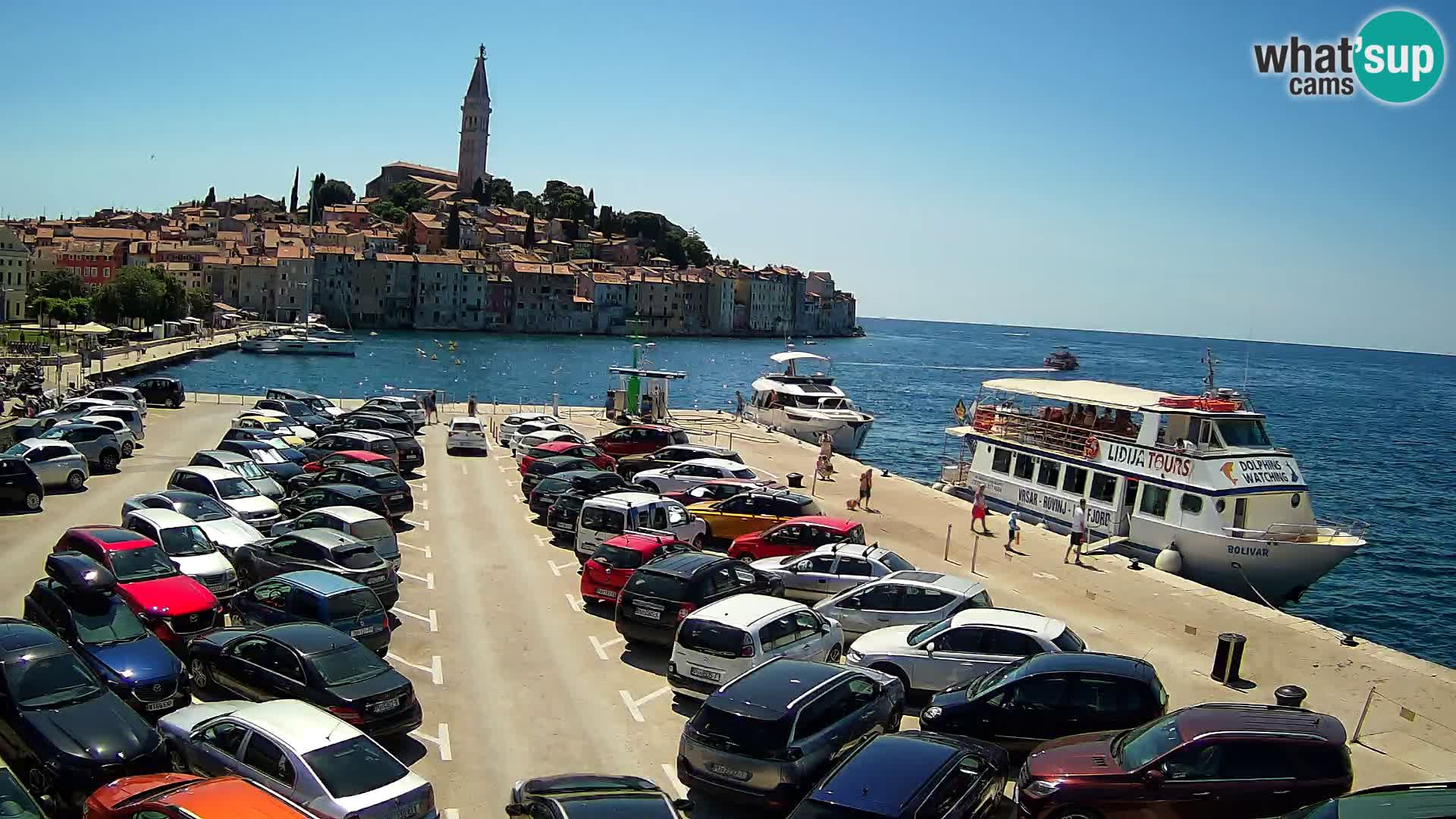 Webcam live Rovinj panorama de la ville | Istrie