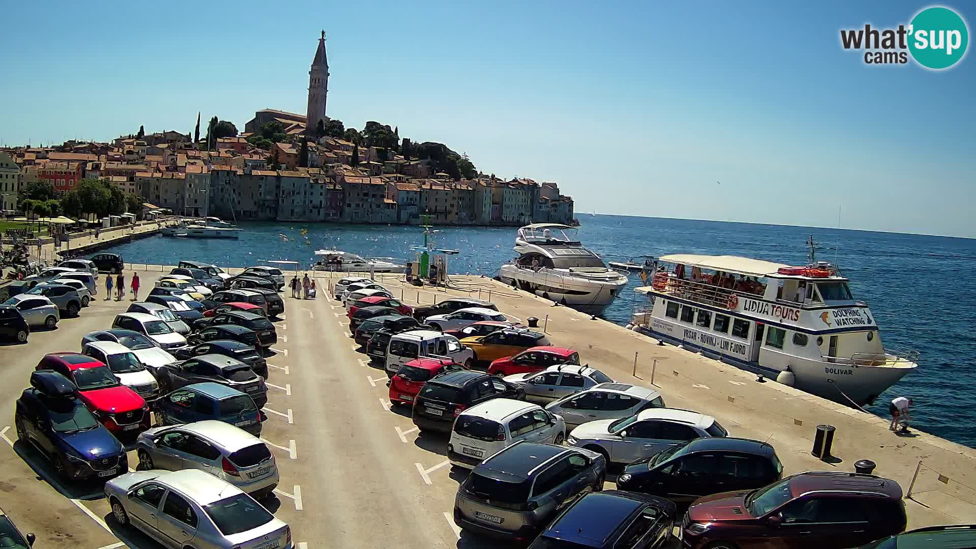 Webcam Rovinj panorama de la ciudad | Istria