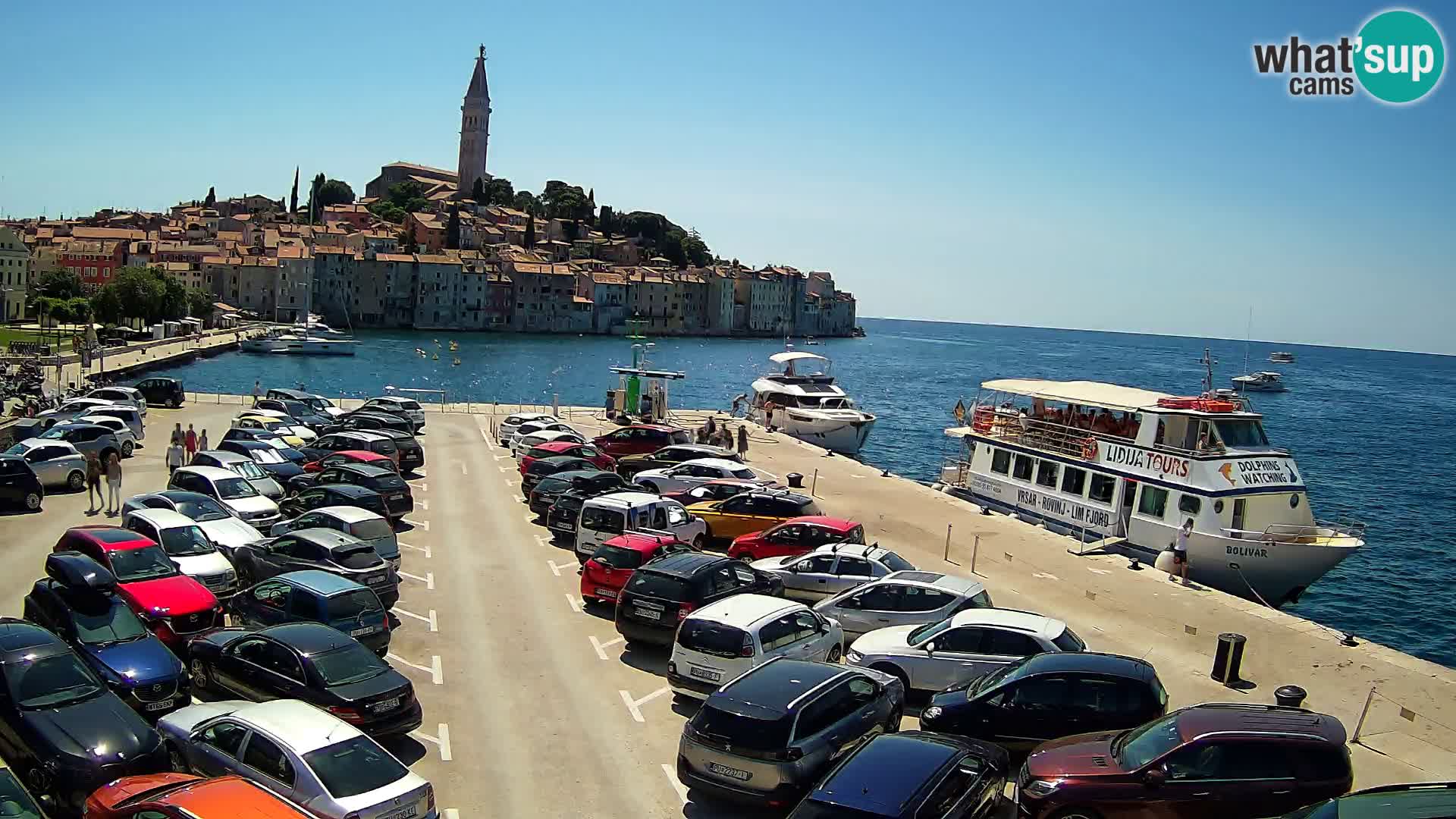Webcam Rovinj panorama de la ciudad | Istria