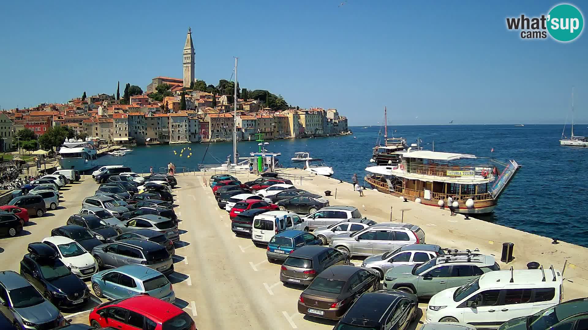 Webcam live Rovinj panorama de la ville | Istrie