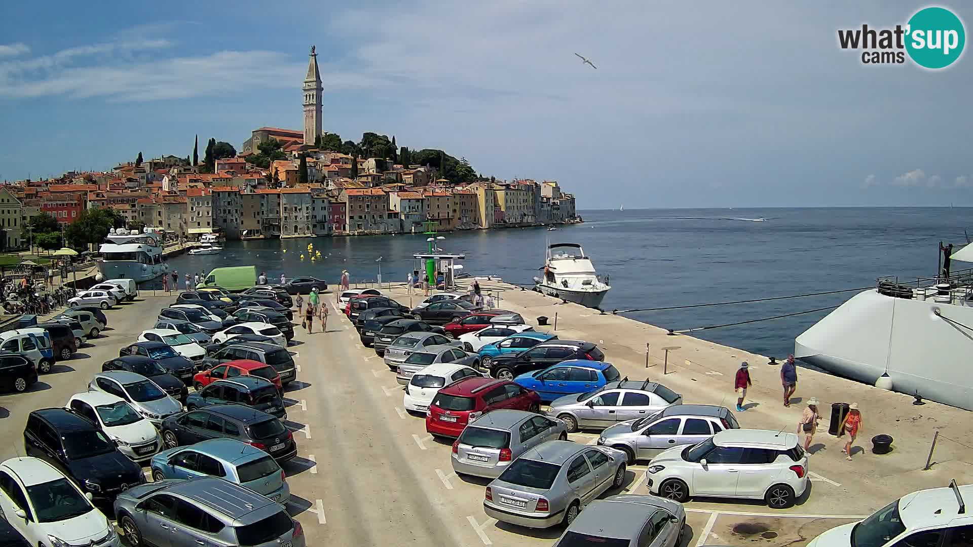 Spletna kamera Rovinj panorama mesta | Istra