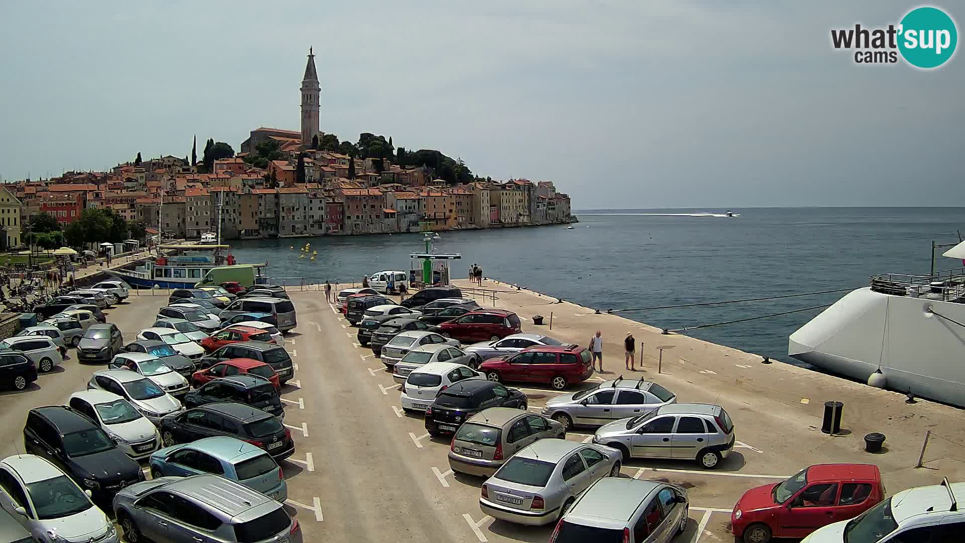 Webcam Rovinj panorama de la ciudad | Istria