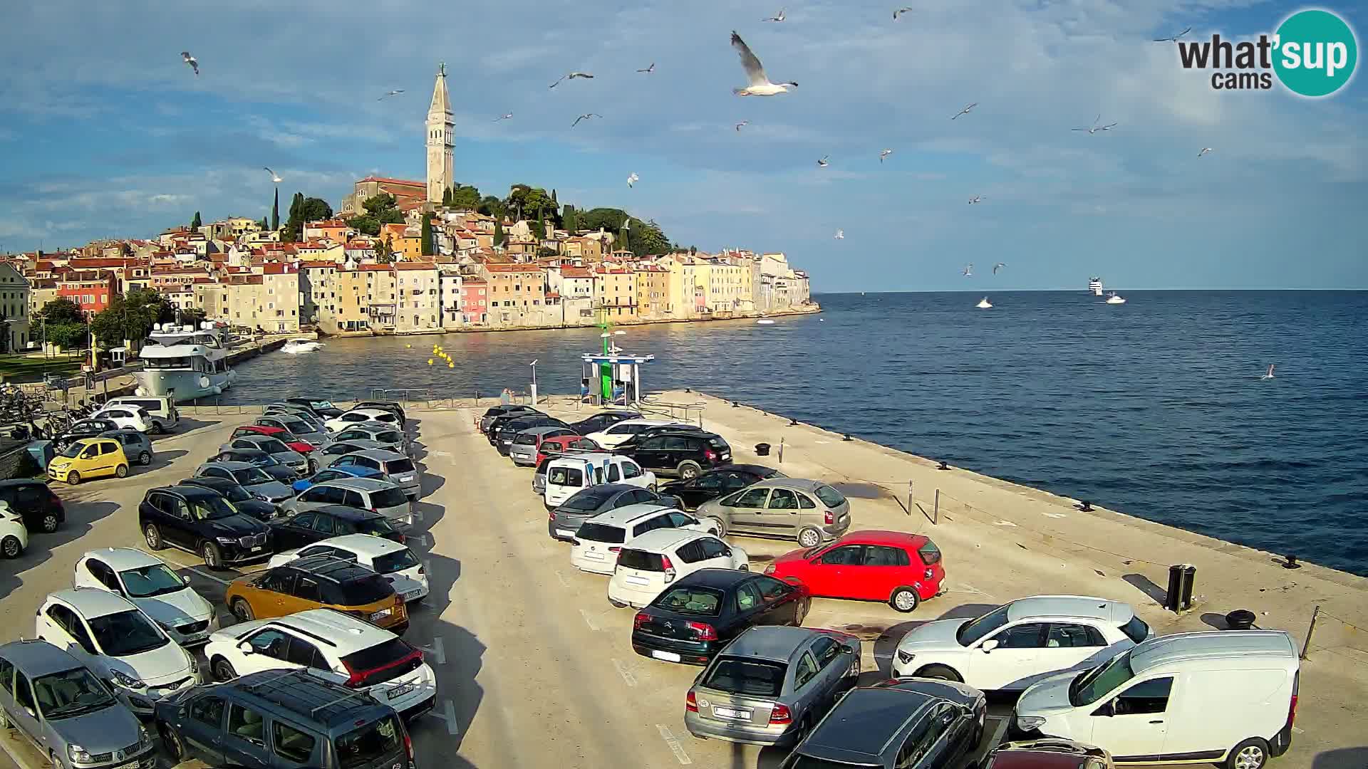 Web kamera Rovinj panorama grada