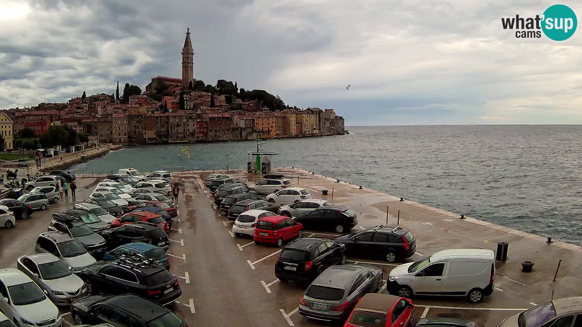 ROVINJ WEBCAM panorama of city – Istria – Croatia