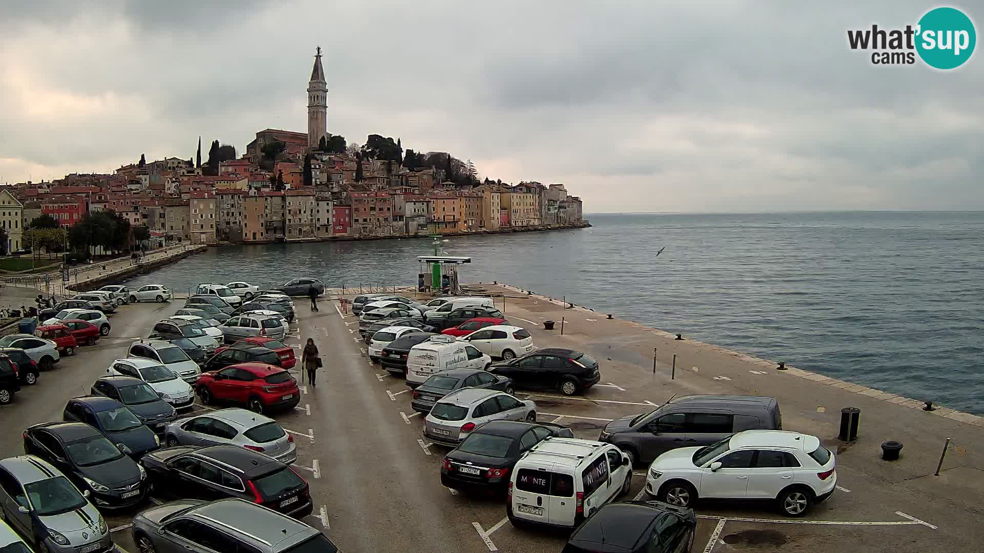 Webcam ROVIGNO Panorama della Città di Rovinj – Istria