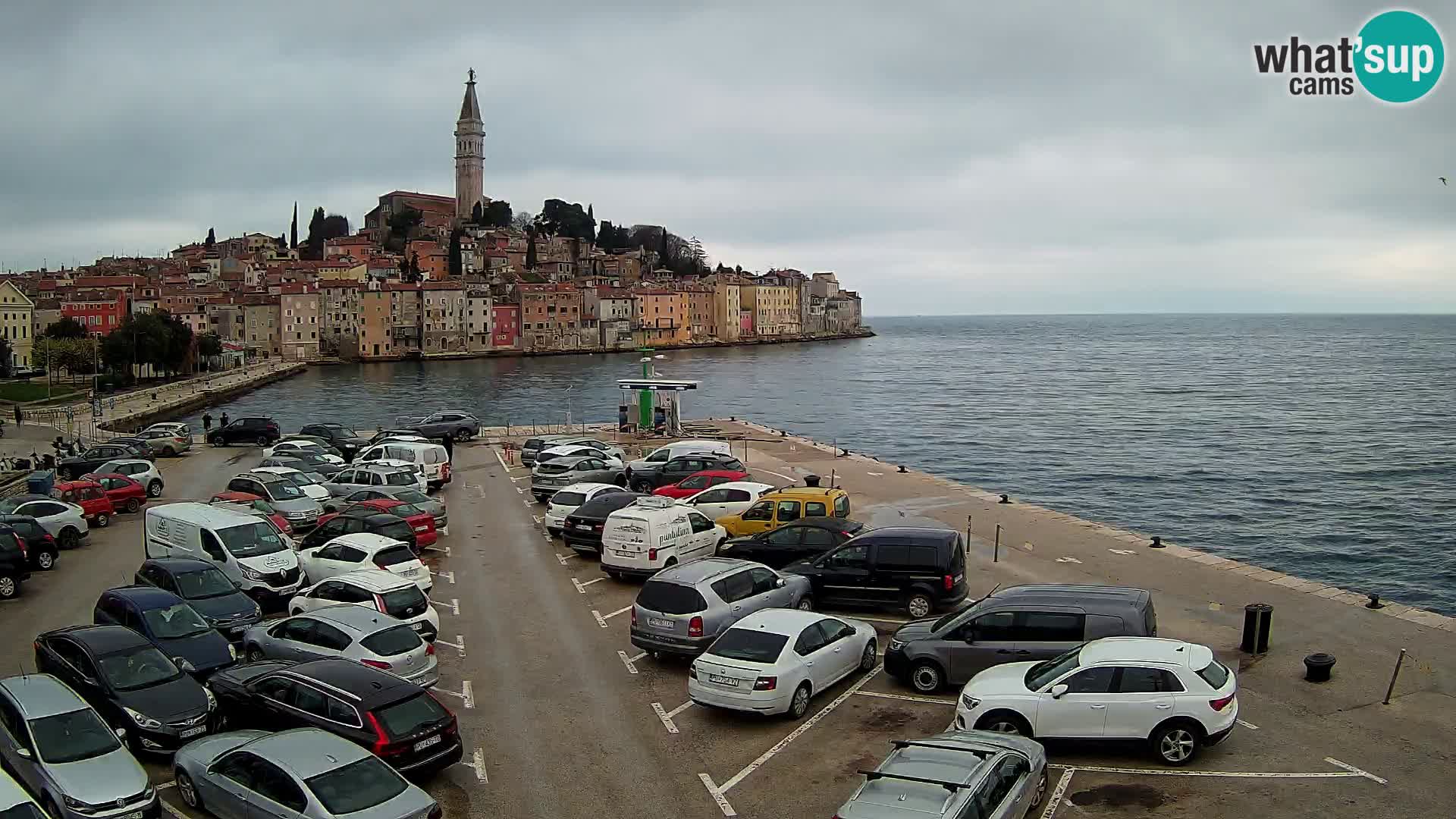 ROVINJ WEBCAM panorama of city – Istria – Croatia
