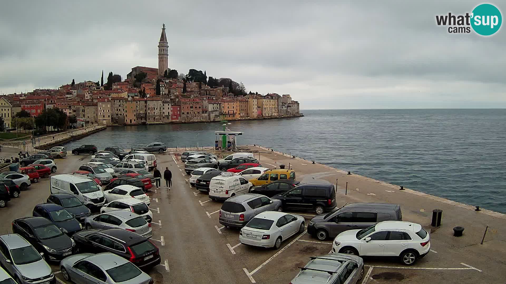 Webcam Rovinj panorama de la ciudad | Istria
