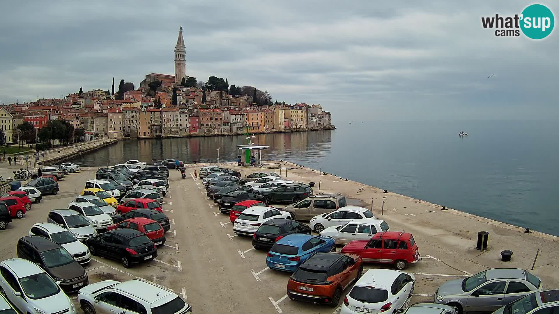 Webcam Rovinj panorama de la ciudad | Istria