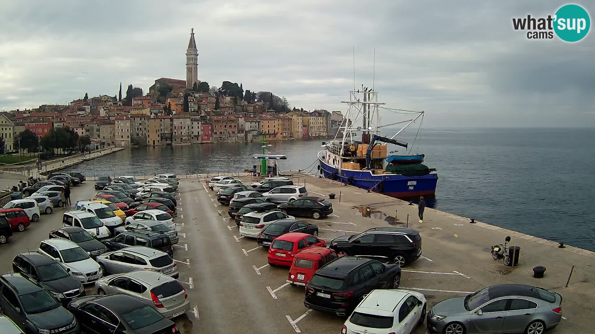 Webcam Rovinj panorama de la ciudad | Istria