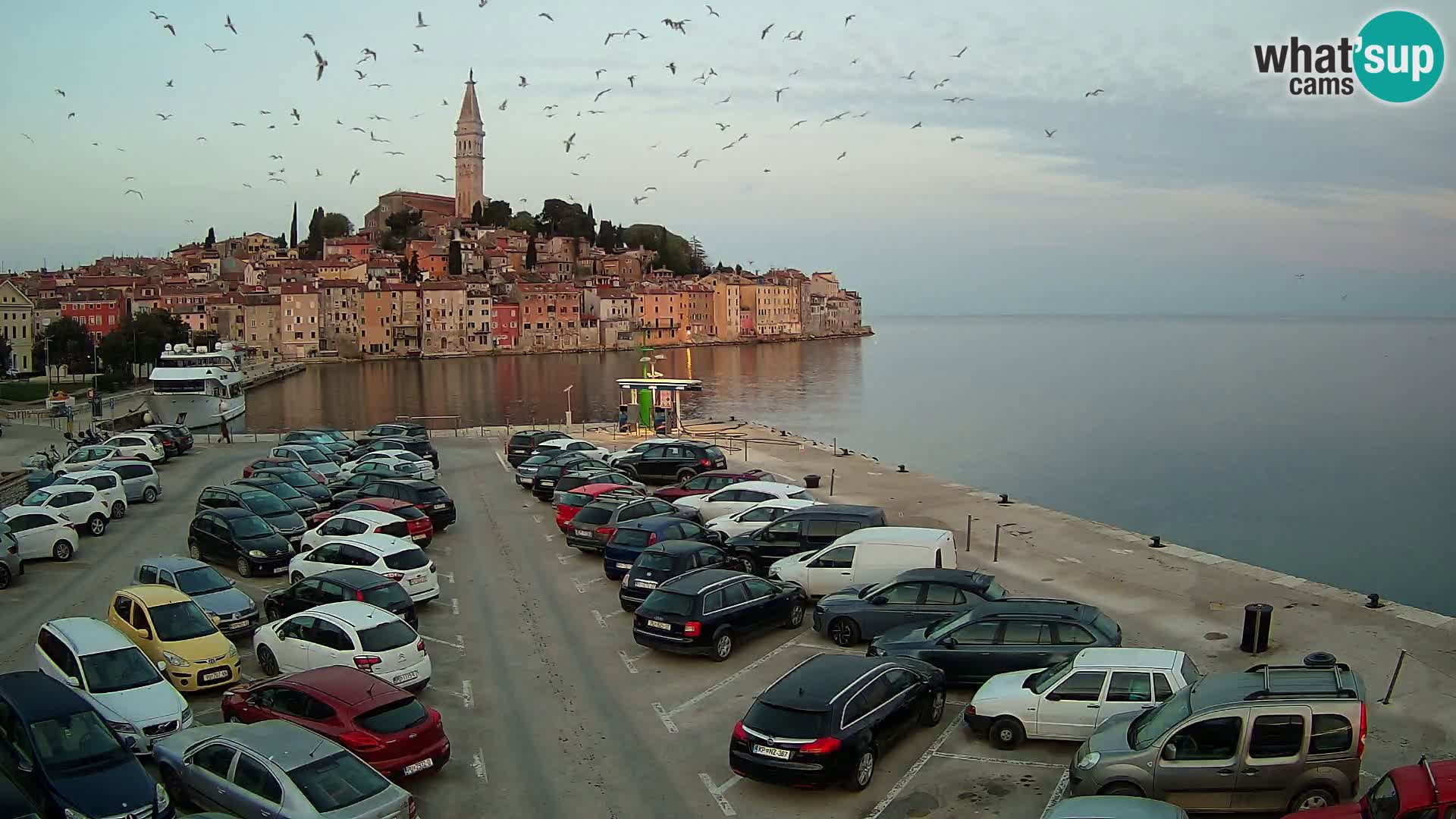 Webcam Rovinj panorama de la ciudad | Istria