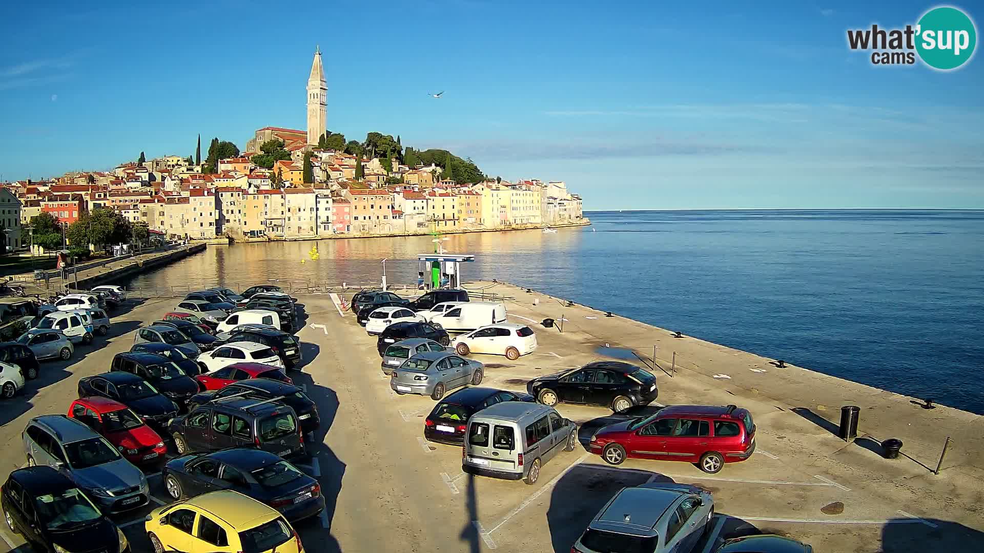 Webcam live Rovinj panorama de la ville | Istrie
