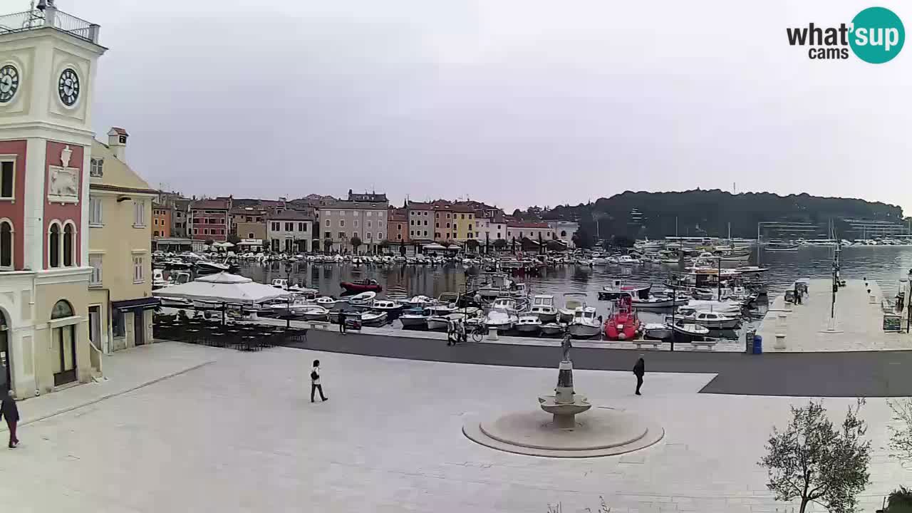 Webcam Rovigno piazza | LIVE cam Piazza centrale Rovigno