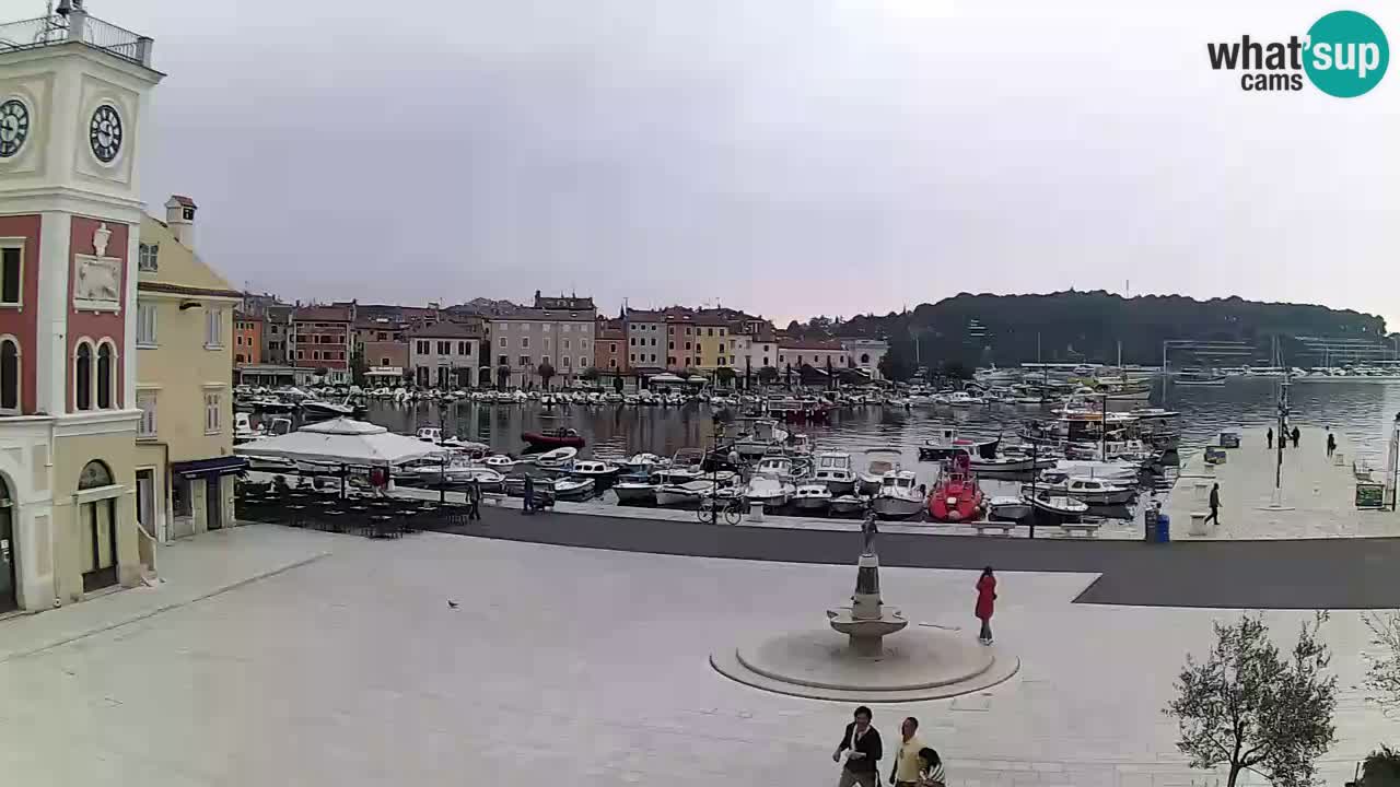 ROVINJ Webcam main square