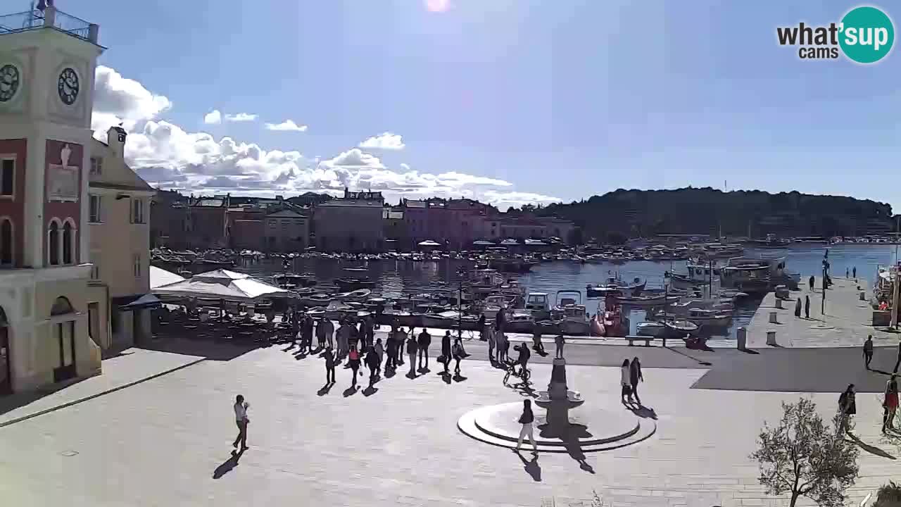 Rovinj – Rovigno LIVE cam Piazza centrale – Istria – Croazia