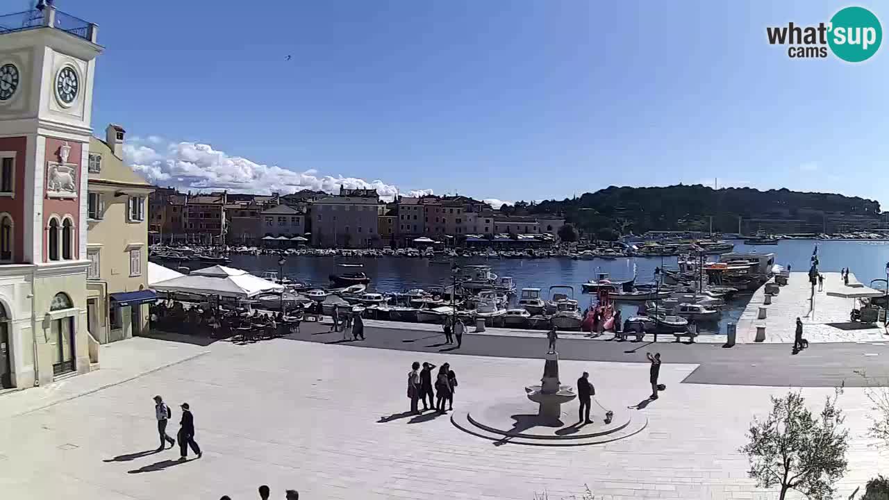 Rovinj live cam – the main square