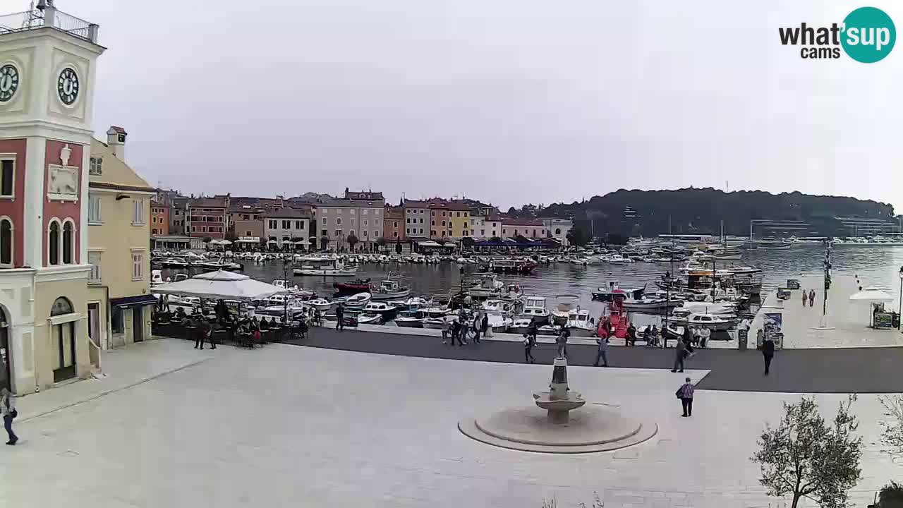 Rovinj spletna kamera trg