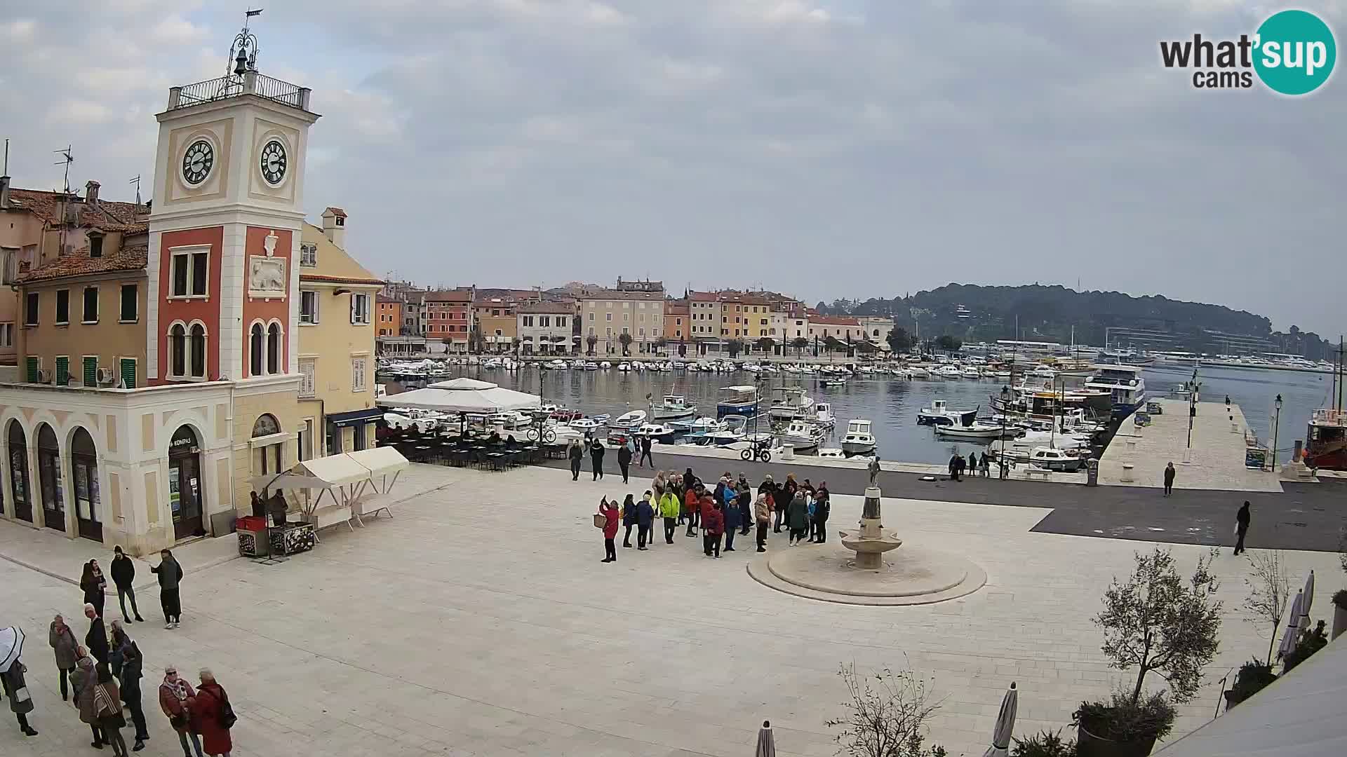 Rovinj spletna kamera trg