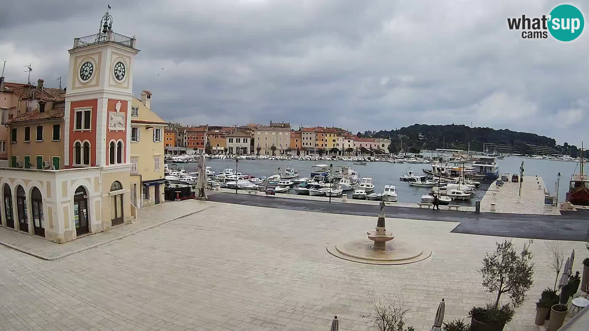 Rovinj spletna kamera trg