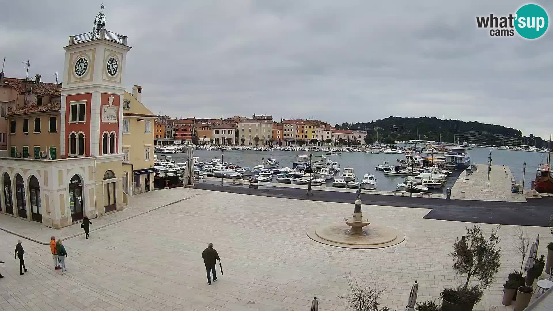 Rovinj spletna kamera trg