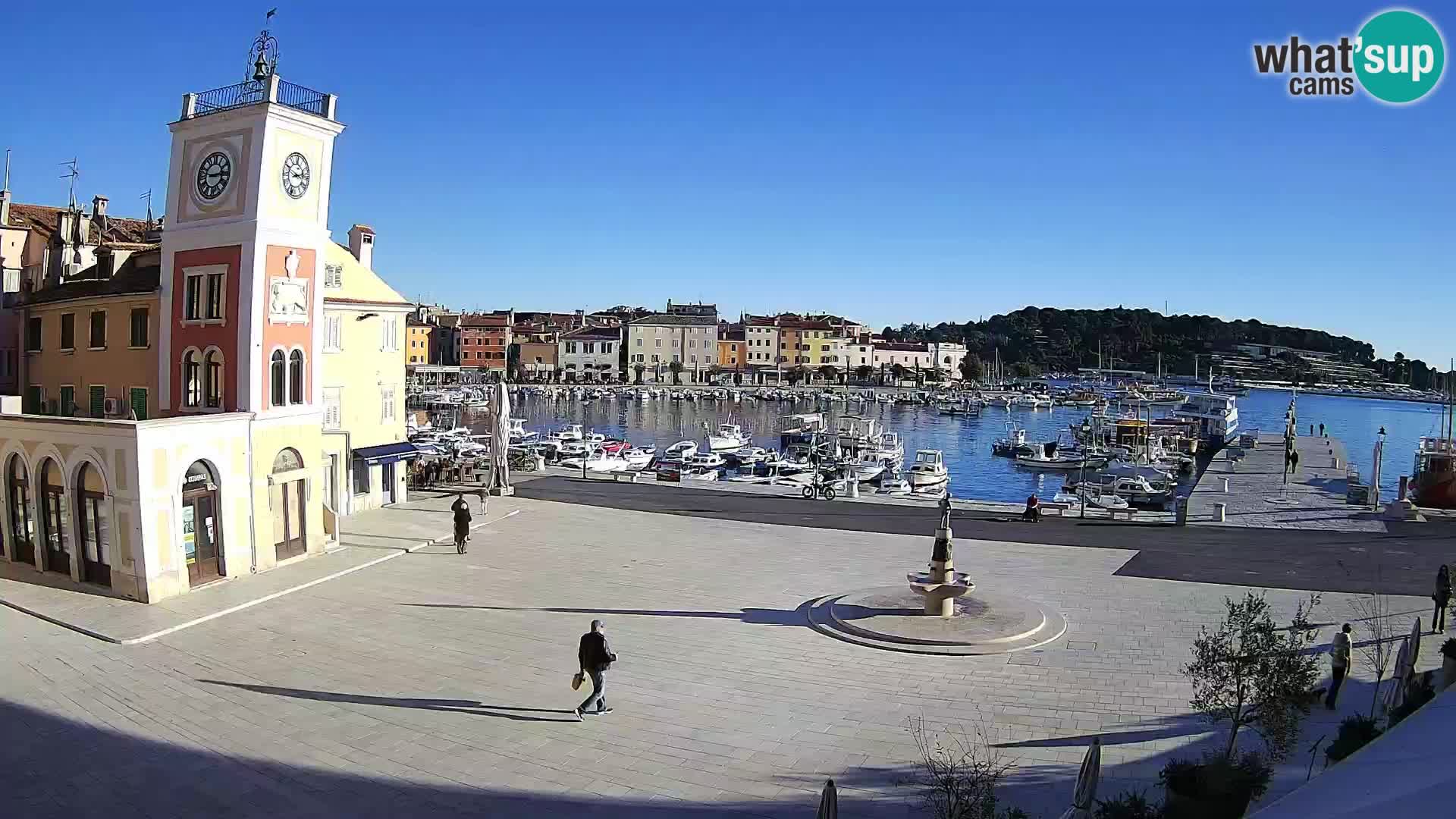 Rovinj spletna kamera trg