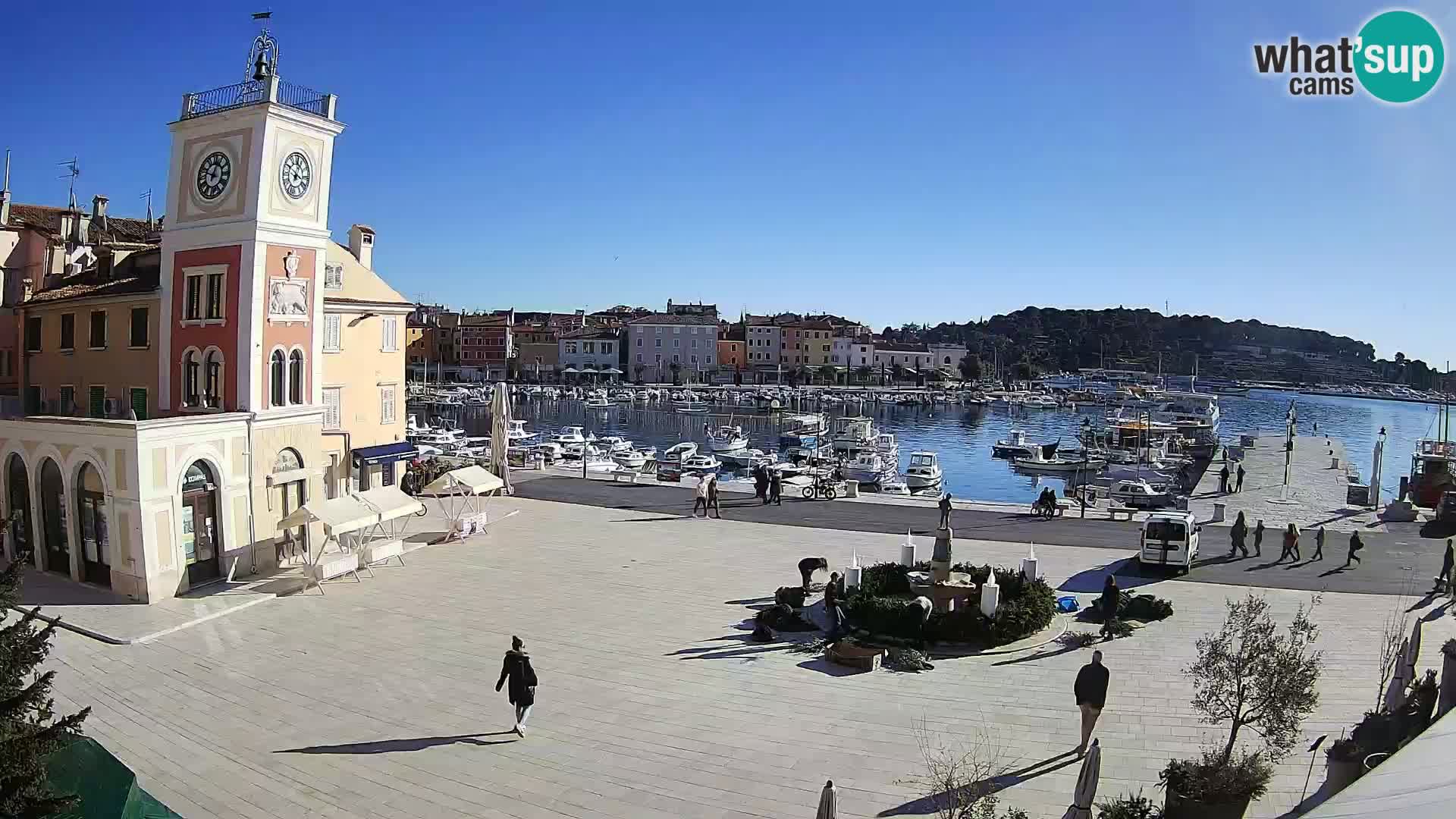 Rovinj spletna kamera trg