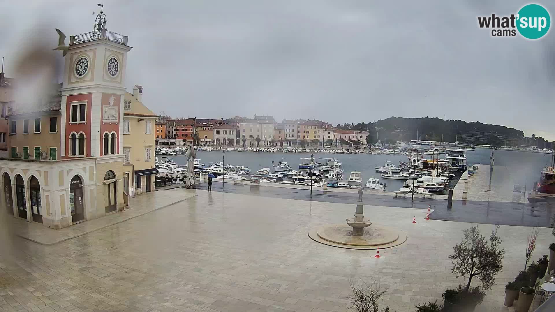 Webcam Rovigno piazza | LIVE cam Piazza centrale Rovigno