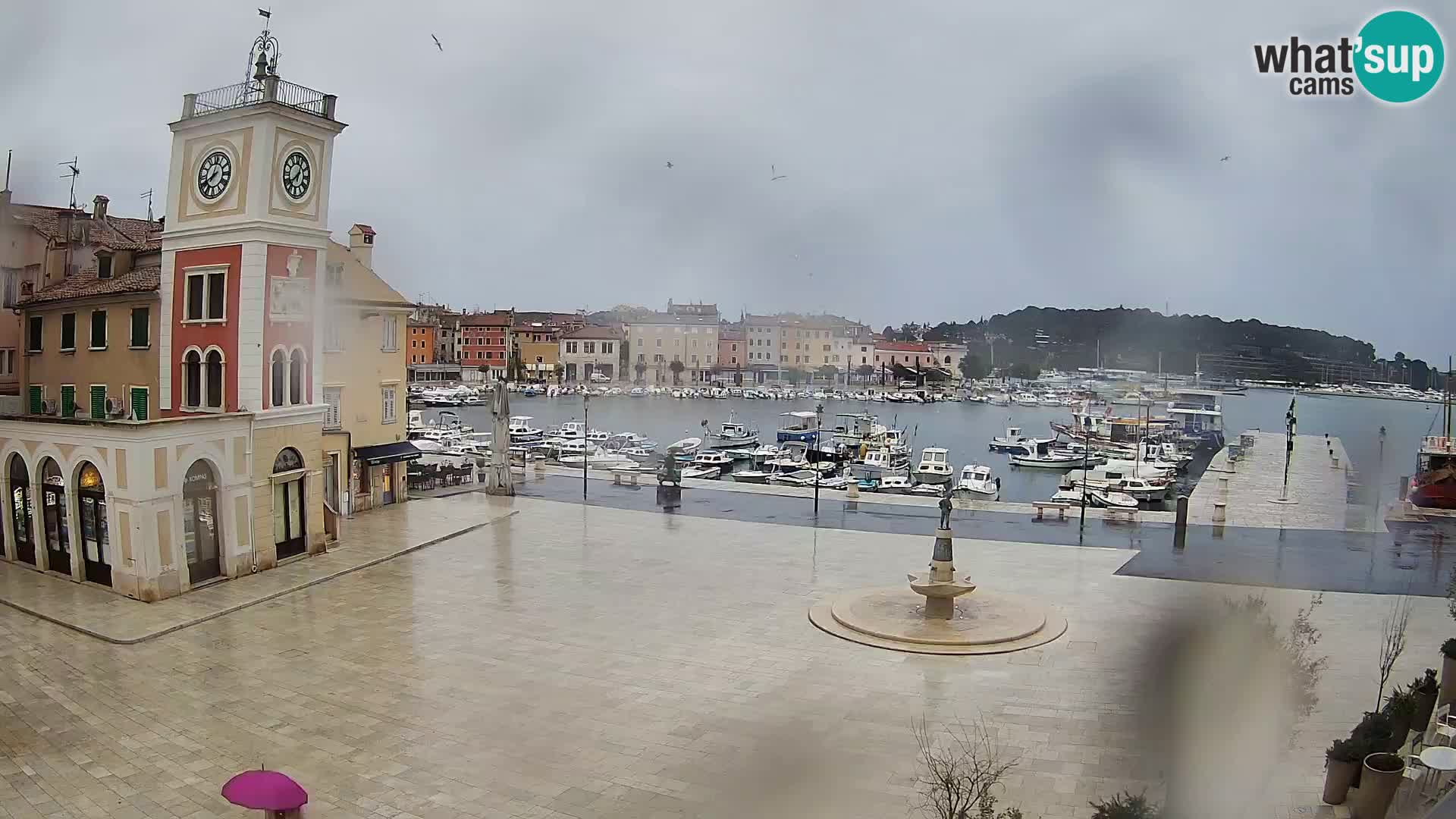 Webcam Rovinj Hauptplatz – Istrien – Kroatien