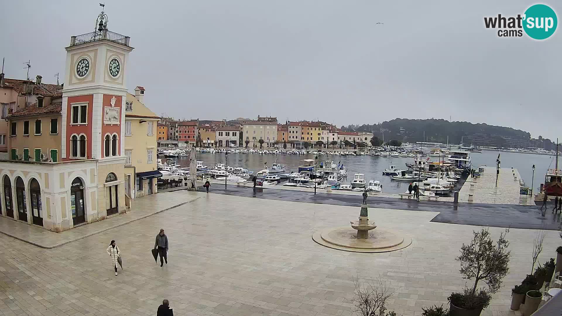 Rovinj spletna kamera trg