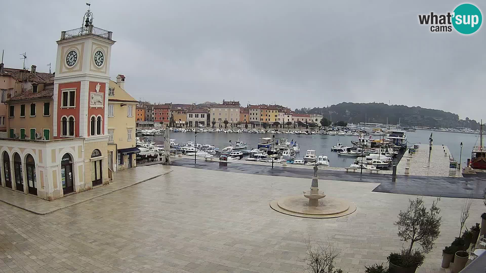 Rovinj spletna kamera trg