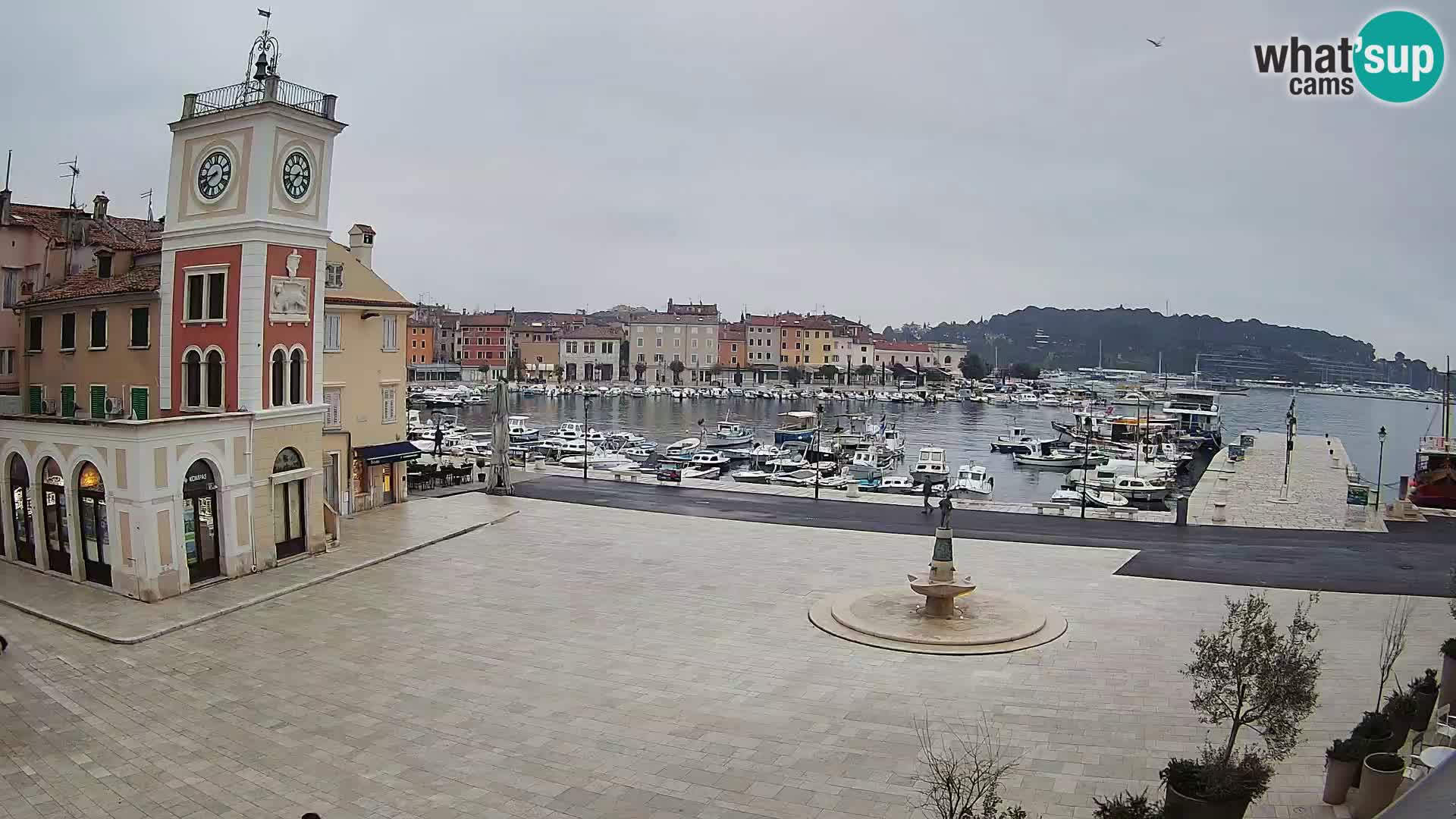 ROVINJ Webcam main square