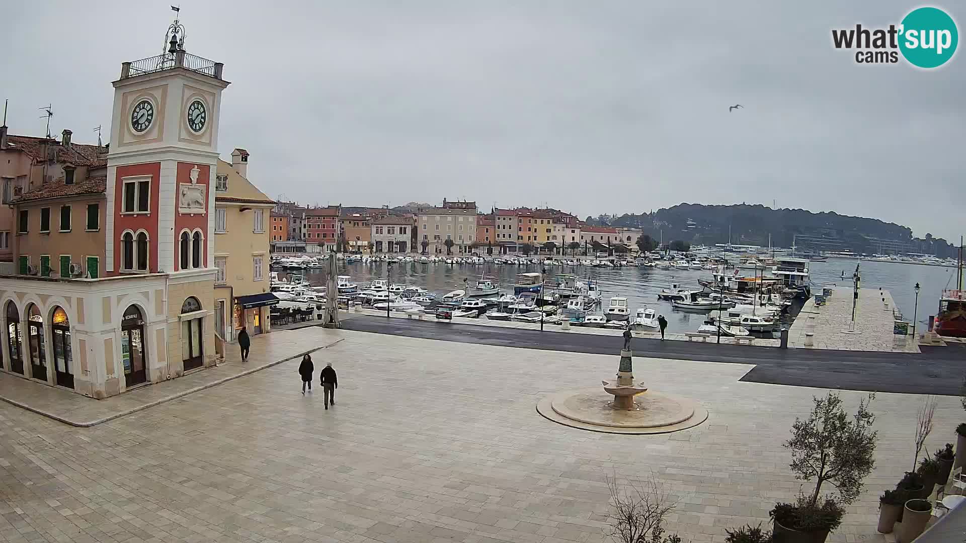 Webcam Rovigno piazza | LIVE cam Piazza centrale Rovigno