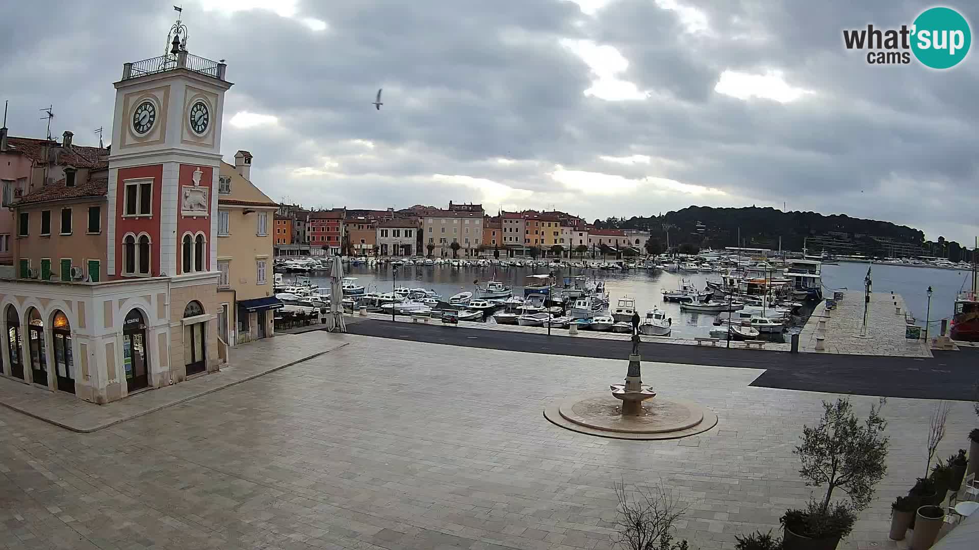 ROVINJ Webcam main square