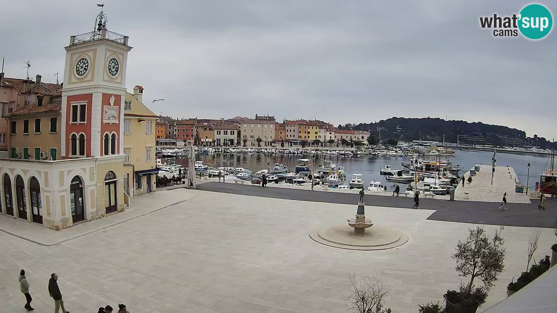 Rovinj spletna kamera trg