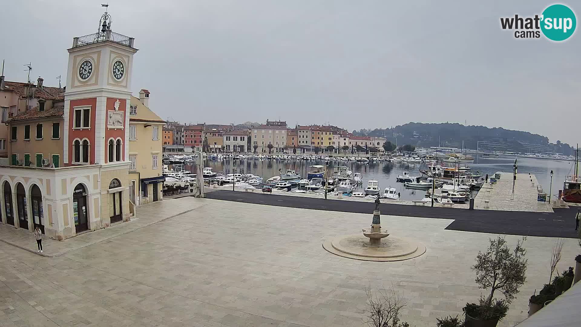 Rovinj spletna kamera trg