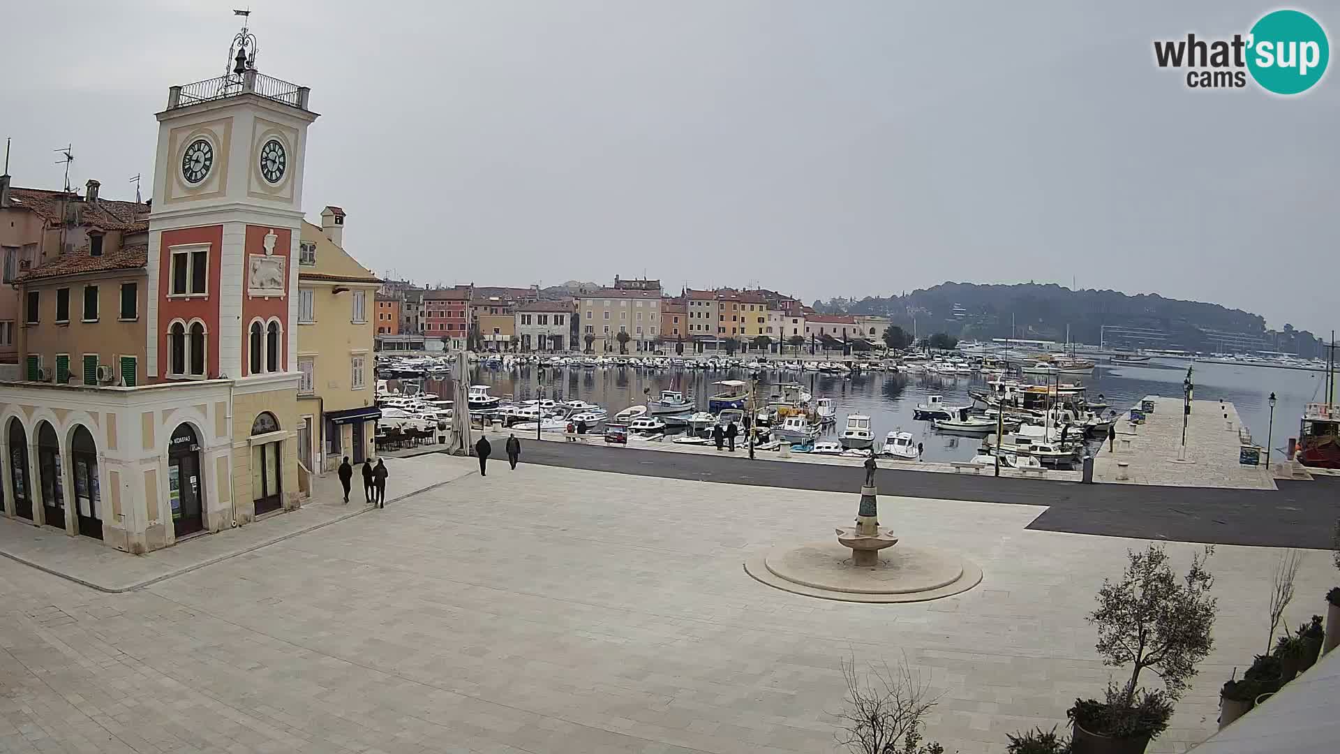 Rovinj spletna kamera trg