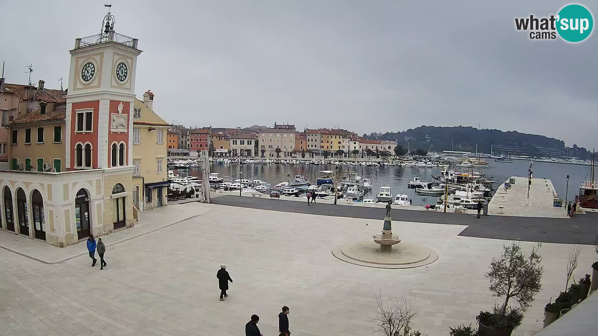 Rovinj spletna kamera trg