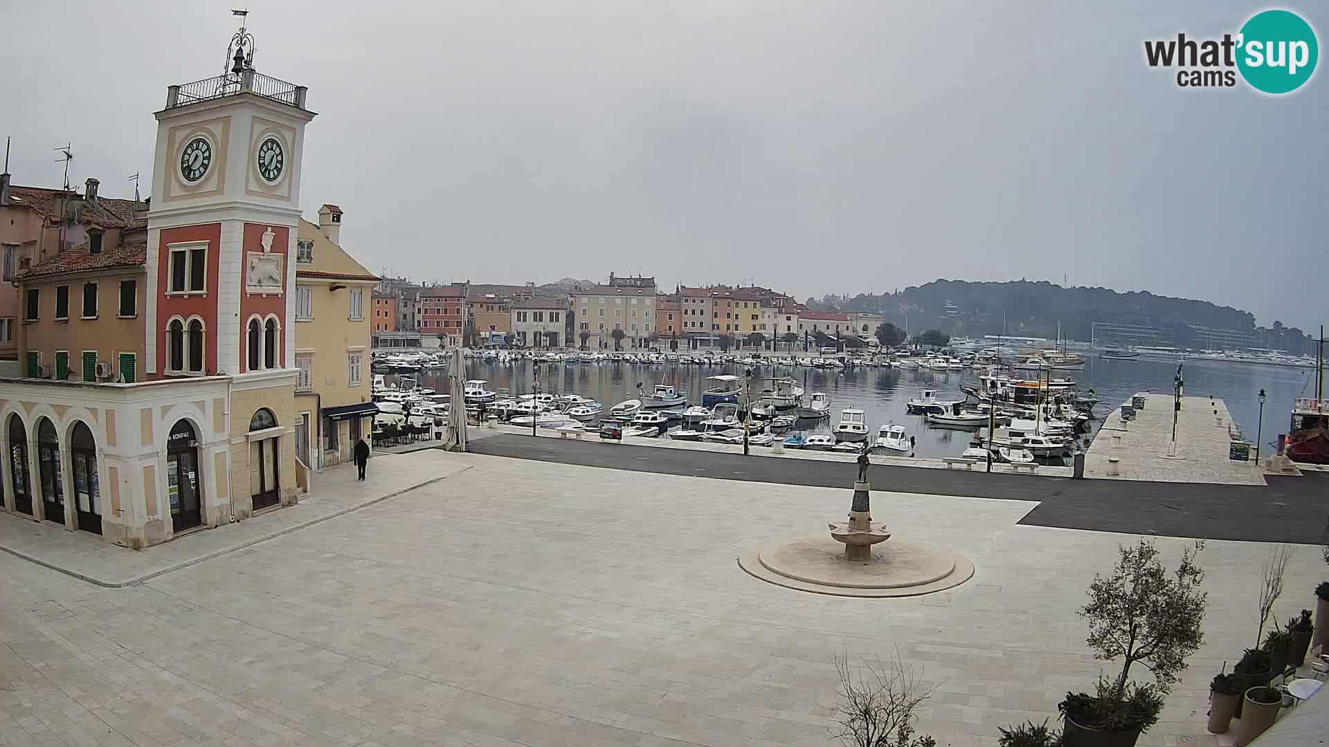 Rovinj spletna kamera trg