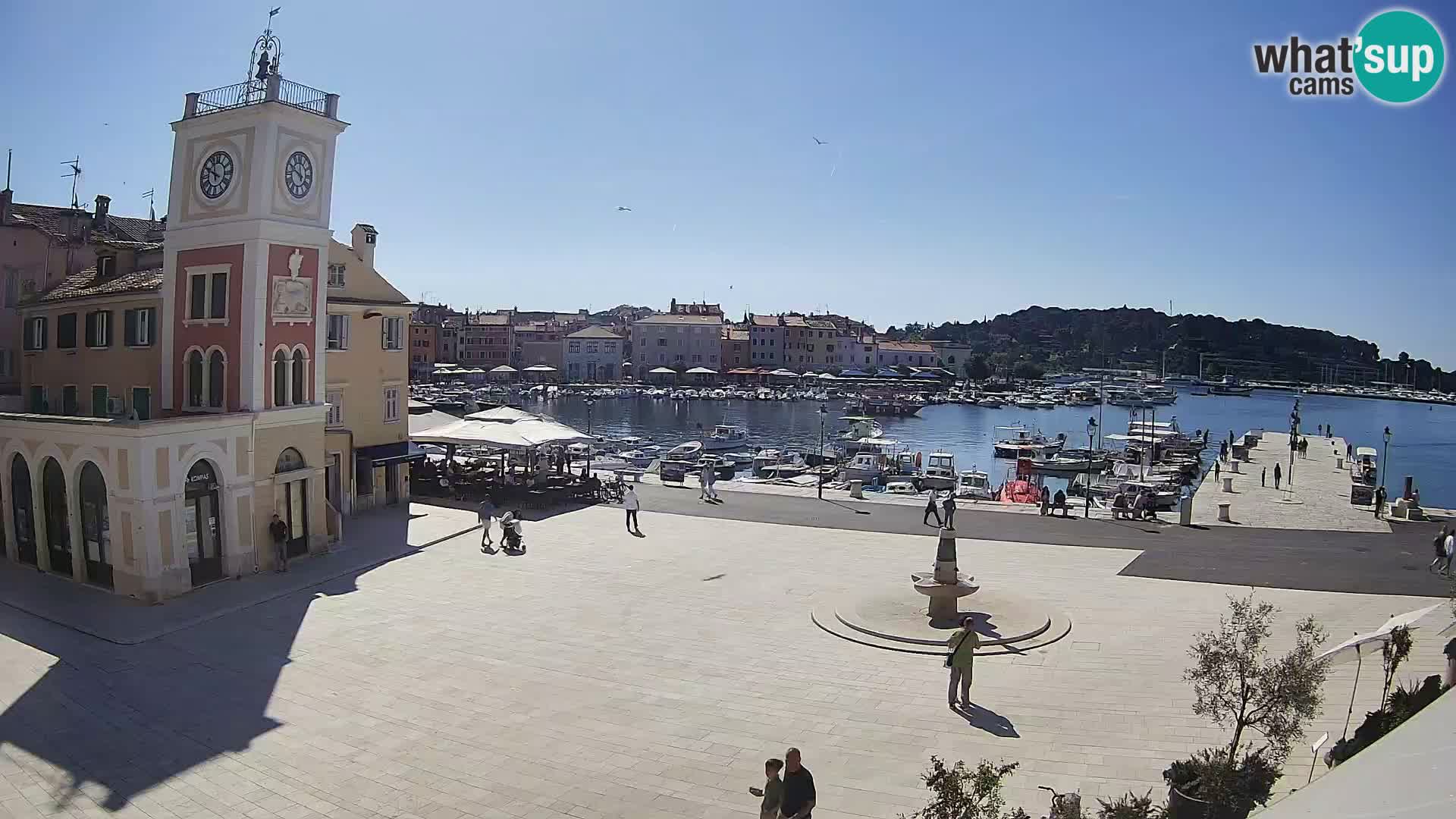 Rovinj spletna kamera trg