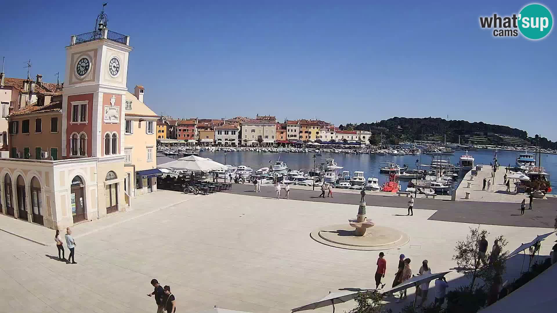 Rovinj spletna kamera trg