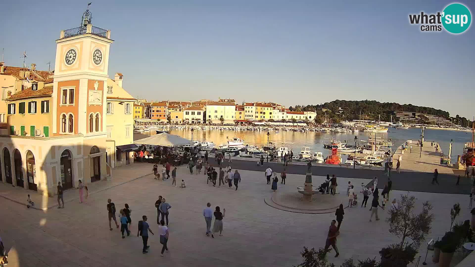 Rovinj spletna kamera trg